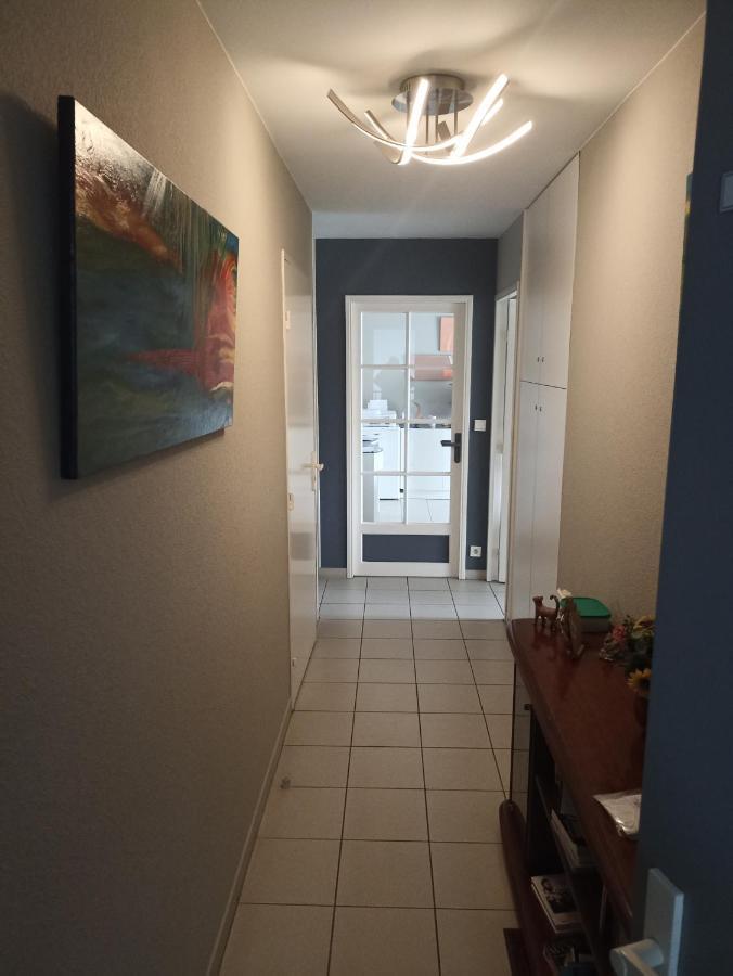 Bayonne Appartement 63M2 Avec Terrase Parking Wifi Esterno foto