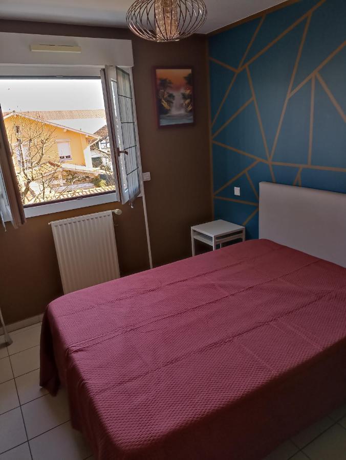 Bayonne Appartement 63M2 Avec Terrase Parking Wifi Esterno foto